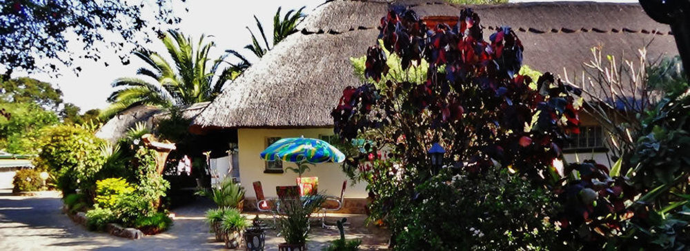 בולוואיו Parrot Lodge מראה חיצוני תמונה