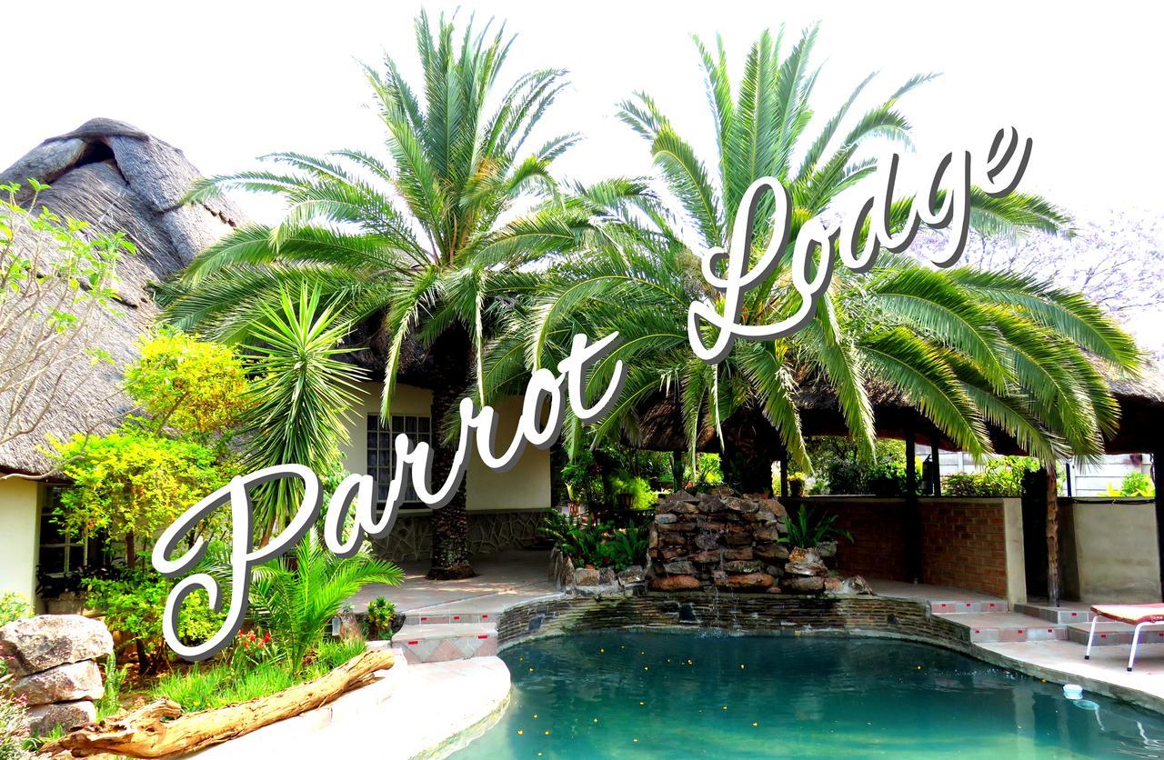 בולוואיו Parrot Lodge מראה חיצוני תמונה